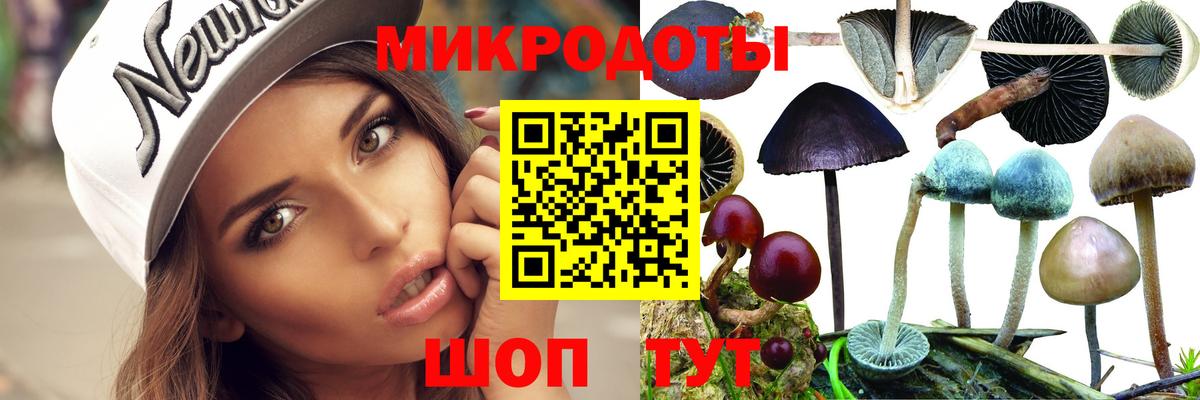 Галлюциногенные грибы Cubensis Черемхово